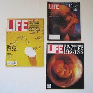 Life Magazines The Down of Life The First Pictures New Life in the Lab